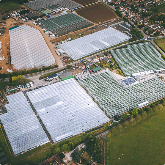 Aerial Photo of R & L Holt Greenhouses